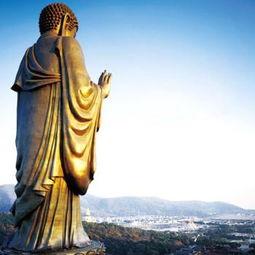 大佛最新爆料视频播放,揭秘娱乐圈惊人内幕  第1张