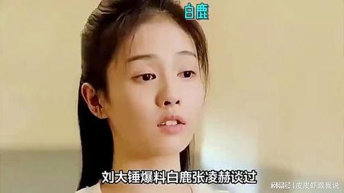 刘大锤爆料白鹿恋情视频,甜蜜互动引网友热议  第1张